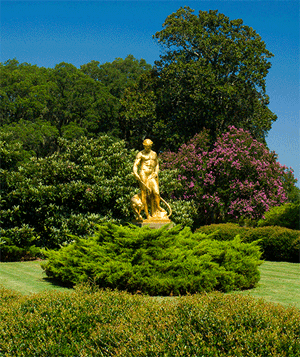 Golden statue wiggle image