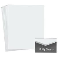 

Archival Methods Museum Board 20x24 Polar White 4 Ply PKG15