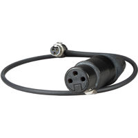 

Ambient Recording 15.7" 3-Pin XLR Female to Short Right Angle TA3F Adapter Cable, Left Exit