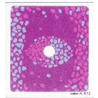 

Cokin A672 Pink/Blue Center Spot Bicolor Filter A-Series