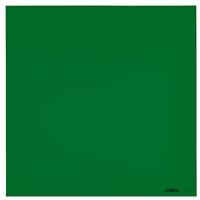 

Cokin Z4 Green Filter, 4x4" / 100x100mm Z-Pro Series