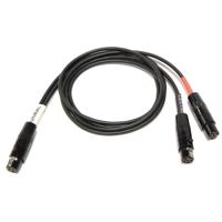 

Cable Techniques 24" TA3F to 2x TA5F Interface Cable for Sound Devices