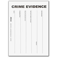 

Evident 3.5x6.5" Evidence Envelope, 100 Pack, White