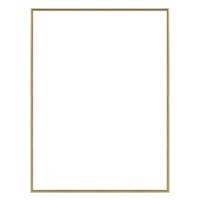 

Framatic Tempo Classic Semi-Round Top Aluminum Frame, For a 24X36" Photograph, Color: Gold