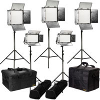 

Ikan Rayden Daylight 5-Point LED Light Kit, Includes 3x RW10 LED Light, 2x RW5 LED Light, Stands, Battery Adapter Plates, Power Supplies, and Cases