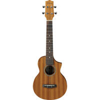 

Ibanez UEW5 Concert Ukulele - Mahogany Top, 19 Frets, Mahogany Neck, Rosewood Fretboard, Open Pore