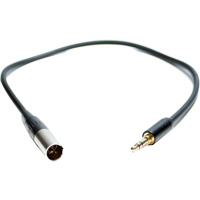 

Kondor Blue 12" Mini XLR Male to 3.5mm Gold Stereo Mini Plug Audio Cable