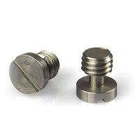 

Lanparte 3/8" Bridgeplate Screw