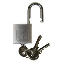 

LockNCharge Keyed Padlock with Logo