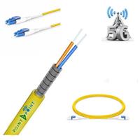 

Point 2 Point 10m SingleMode OS2 LC/LC 1.6mm Single Tube Duplex Patch Cord with Corning ClearCurve Fiber Optic Glass and PVC Riser Jacket