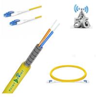 

Point 2 Point 8m Nano Armored Stainless Steel SingleMode OS2 LC/LC 2.0mm Single Tube Duplex Patch Cord with Corning ClearCurve Fiber Optic Glass and PVC Riser Jacket