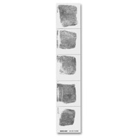 

Sirchie Postmortem Record Strips with Adhesive Back, Right Hand, 100 Each