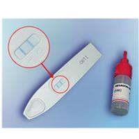 

Sirchie Hexagon Obti, Presumptive Blood Test, 24 Tests