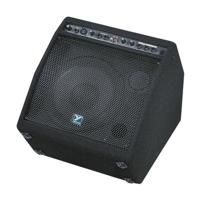 

Traynor 50KW 50W Amplifier with 10" Floor Monitor and 3.75" Tweeter