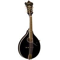 

Washburn Americana Series M1SDLB "A" Style Mandolin with Solid Spruce Top, Maple Back and Sides, 20 Frets, Maple Neck, Oval Soundhole, Gloss, Black