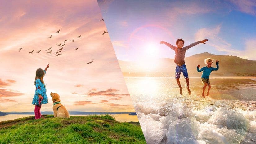 Adobe Introduces Photoshop Elements 2021 & Premiere Elements 2021