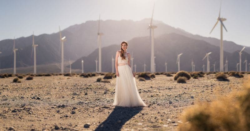 Windmills in the background