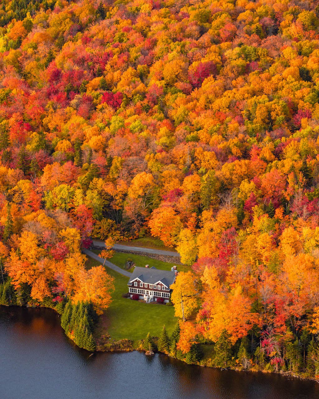 The Ultimate Guide To Fall Foliage Photography - 42West