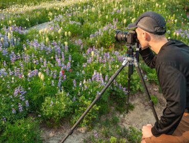 A photographer makes a landscape image of flowers