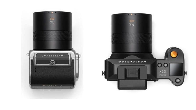 Hasselblad XCD 75P on bodies