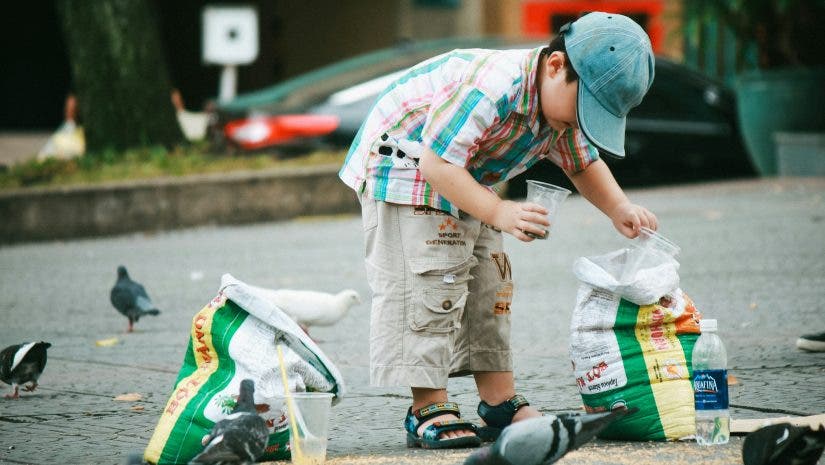 a boy in public picking up trash while surrounded by pigeons