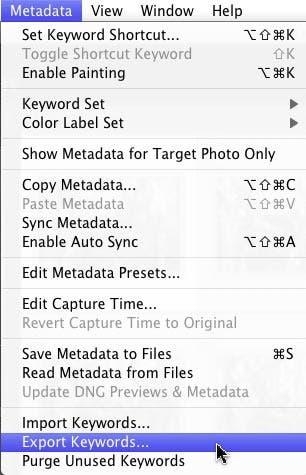 How to export metadata