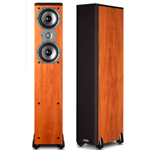 Polk Audio TSi 300 3-Way Tower Speaker with Two 5-1/4