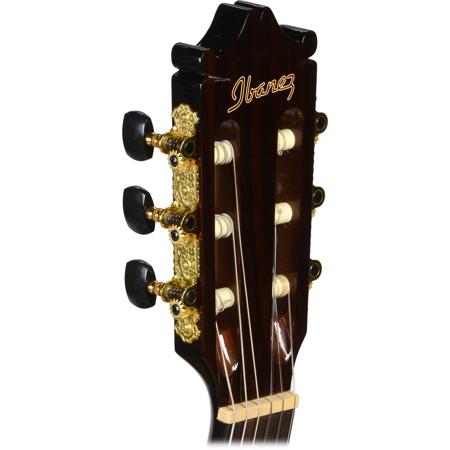 Ibanez GA35TCE Acoustic/Electric Thin-Line Classical GA35TCEDVS