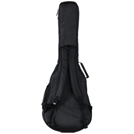 Alvarez deals gig bag