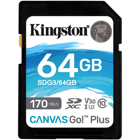 Карта памяти sdxc kingston canvas go plus 64 гб sdg3 64gb