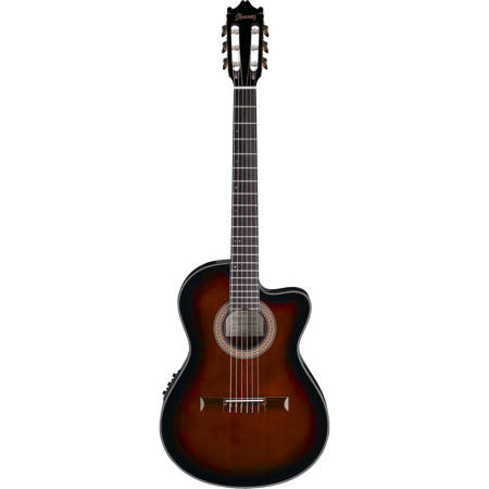 ibanez thinline acoustic electric