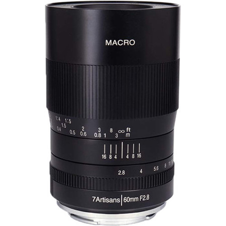 Best Macro Lens For Canon The Ultimate Guide 2020