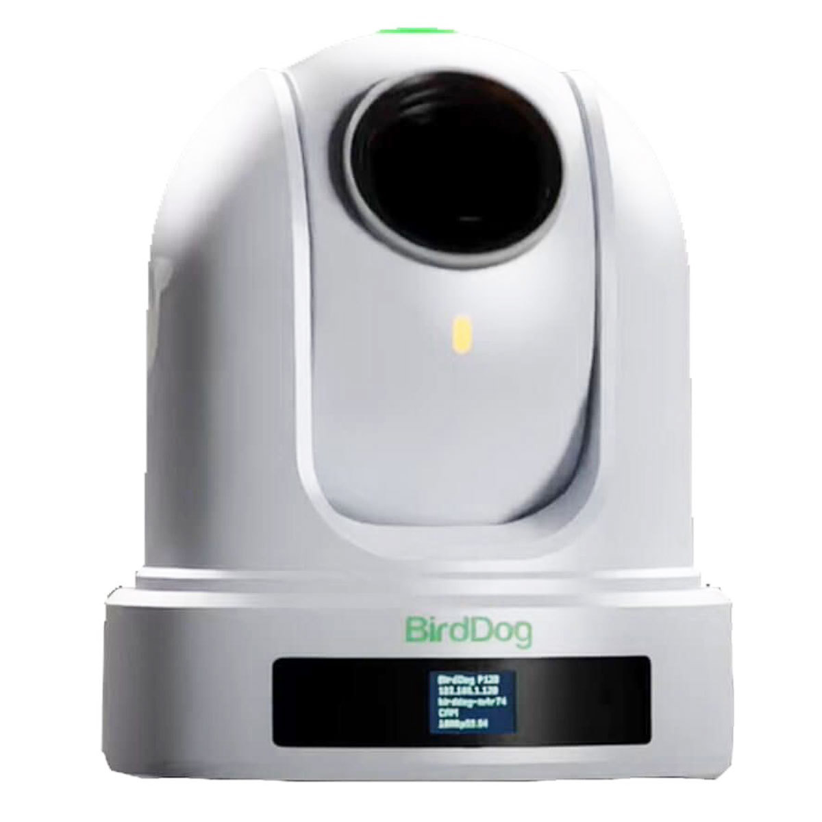 

BirdDog P110 Full HD Full NDI 10x PTZ Camera, White