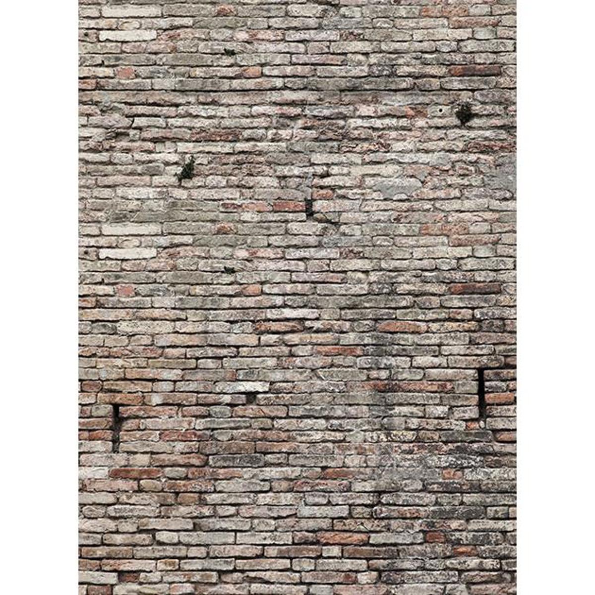 

Click Props Old Grungy Brick Wall Backdrop, Large