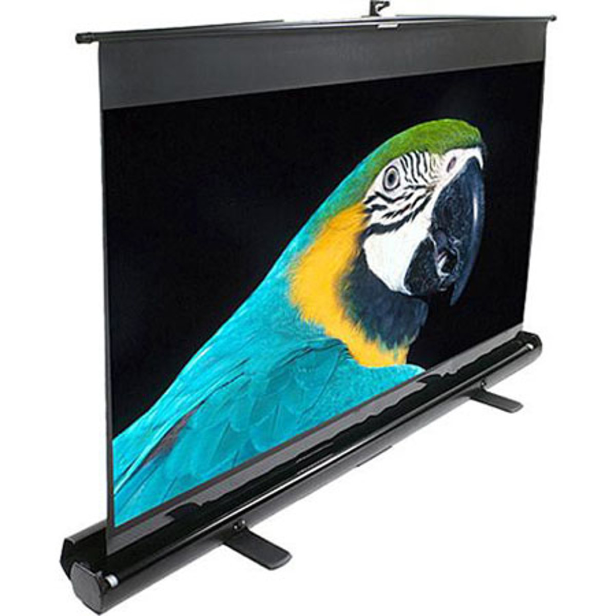 

Elite Screens ezCinema MaxWhite 135" 16:9 Manual Pull Up Projector Screen