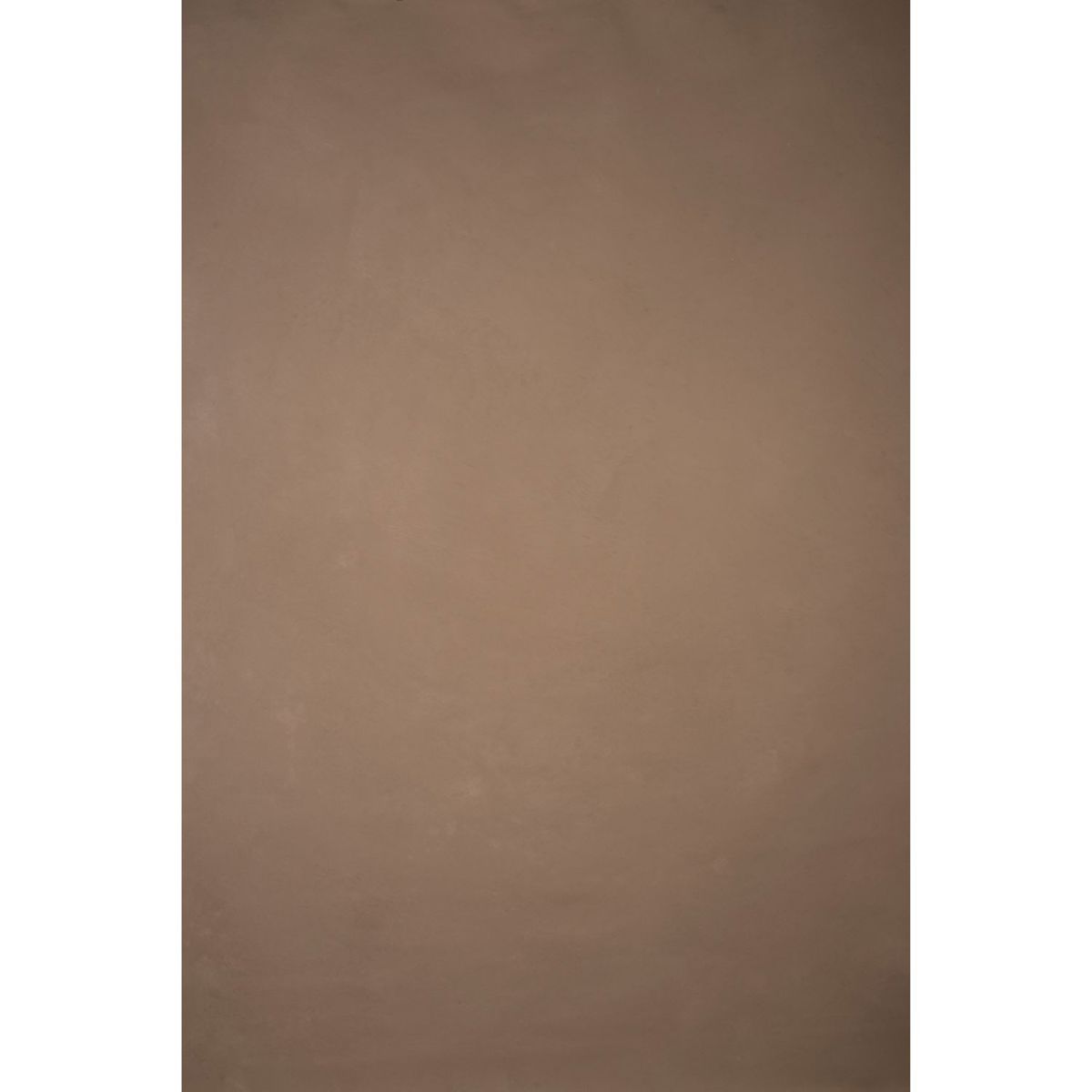 

Gravity Backdrops Hand Painted Classic Low Texture Backdrop, 6.2x8.9', Beige