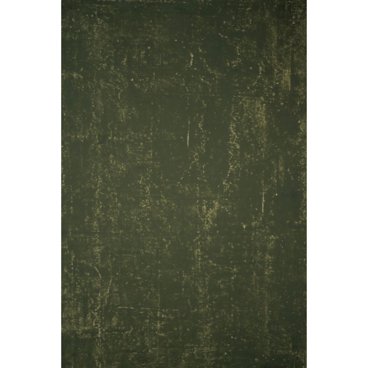 

Gravity Backdrops Hand Painted Classic Canvas Distressed Backdrop,6.2x8.9',Green