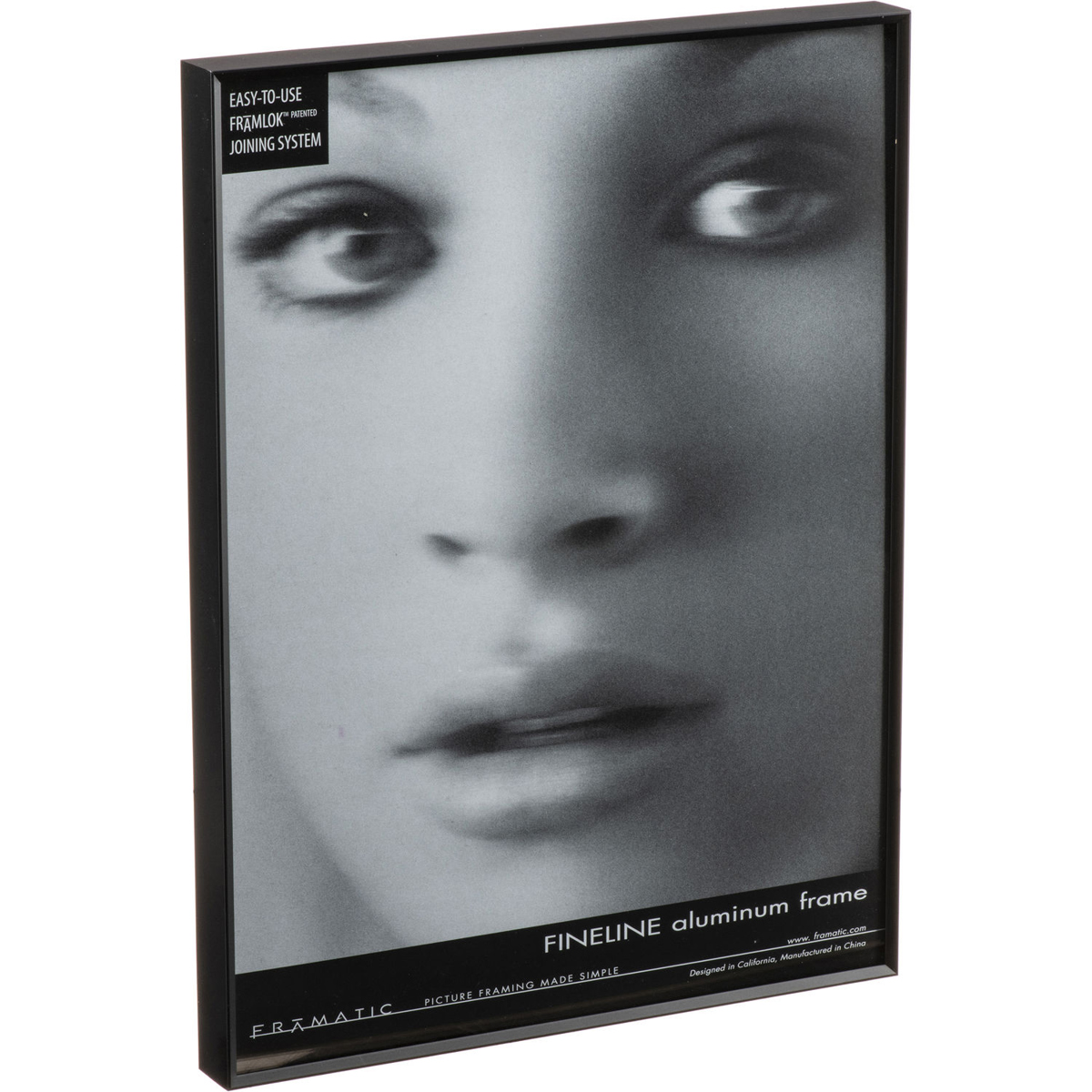 

Framatic Fineline 14x18" Aluminum Frame for a 14x18" Photograph, Black