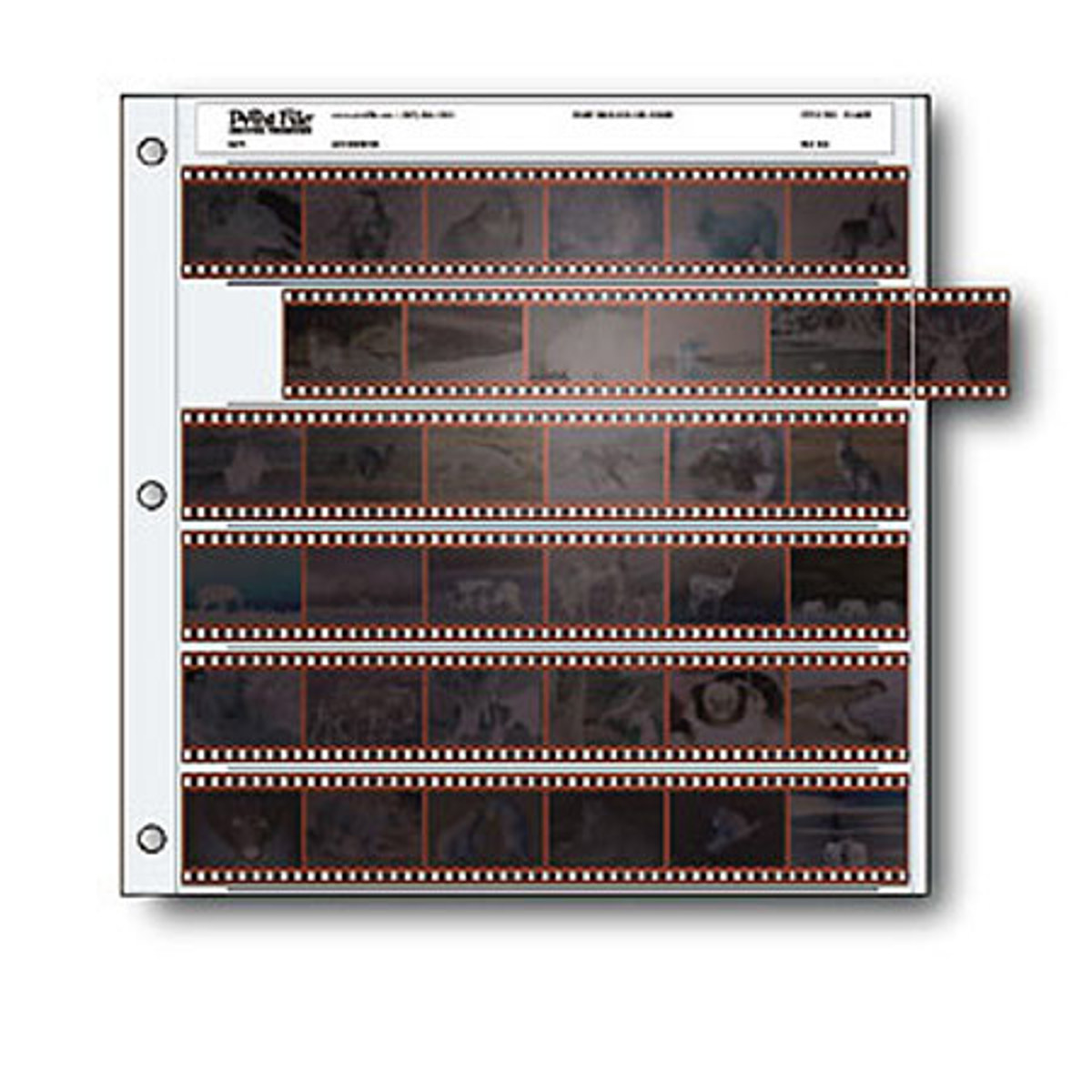 

Print File 100040 Archival 35mm Negative Pages, 100