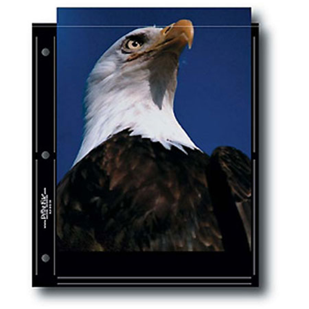 

Print File 600800 Archival Photo Pages for 2 8inx10in