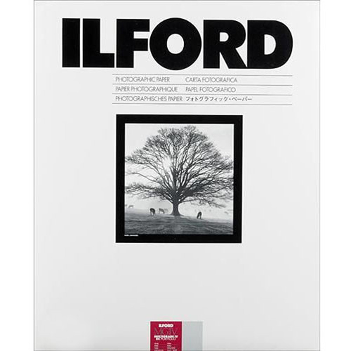 

Ilford Multigrade IV RC Portfolio Black/White Paper, 11x14", 10 Sheets, Pearl