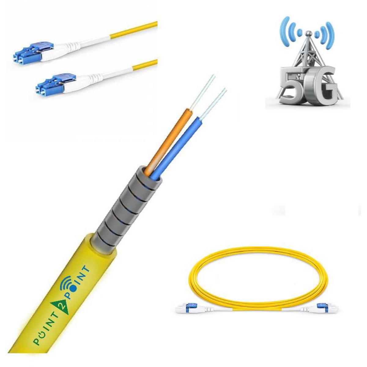 

Point 2 Point 25m MultiMode OM4 LC/LC Patch Cord with PVC/FEP Plenum Jacket