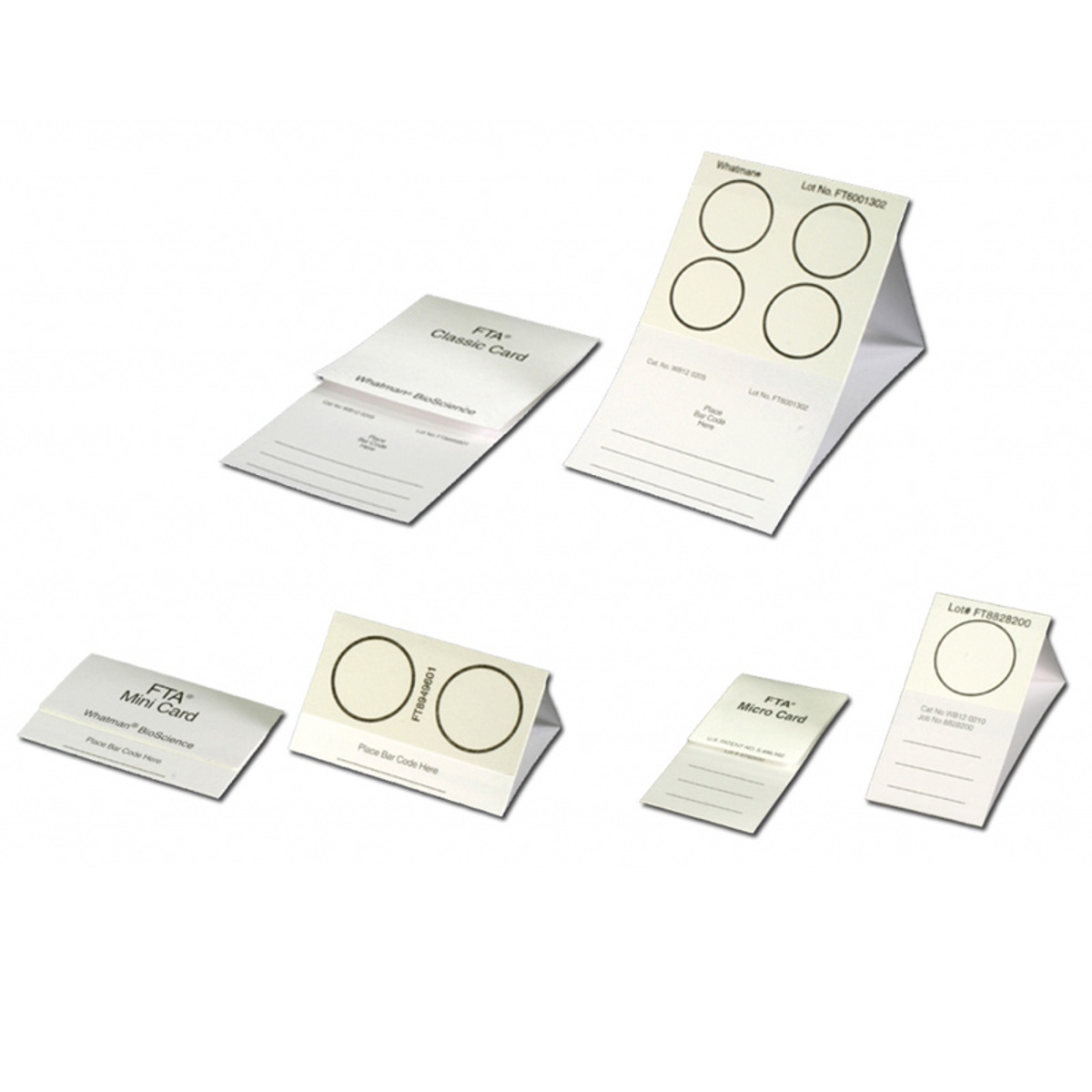 

Tri-Tech Forensics FTA Mini Card, 2 Circles, 100 Pack